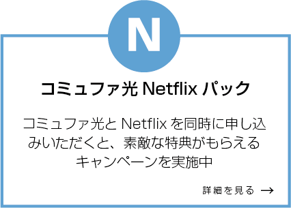 コミュニティ光ネットフリックスパック