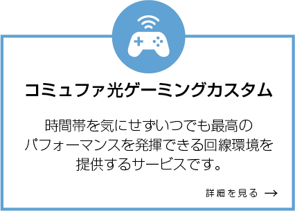 コミュファ光ゲーミングカスタム