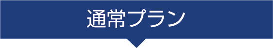 通常プラン